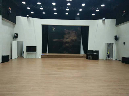 上海市群众艺术馆舞蹈室音响案例